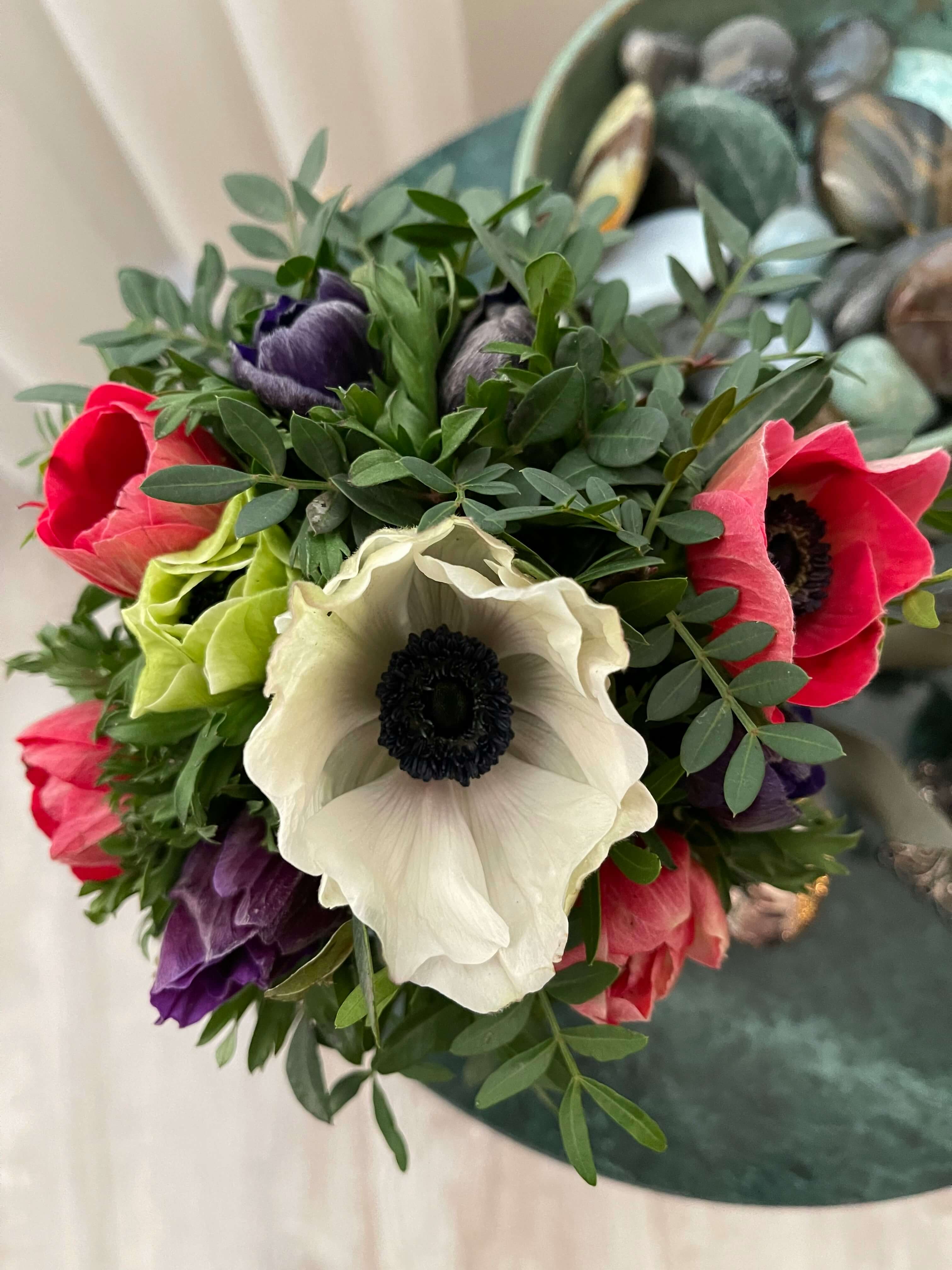 Anemone Flower